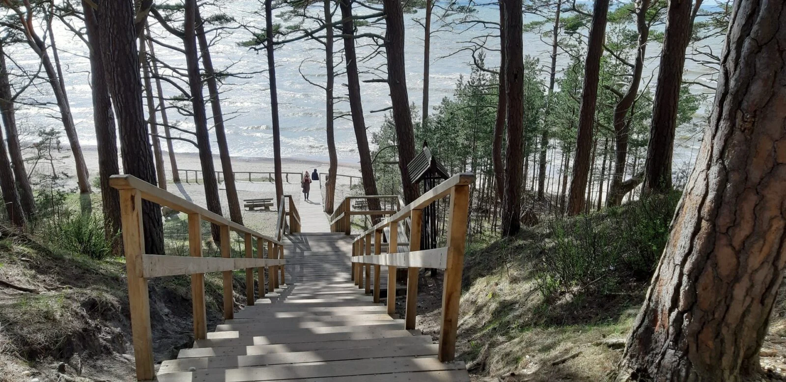 Olando Kepurė – laiptai į kopą