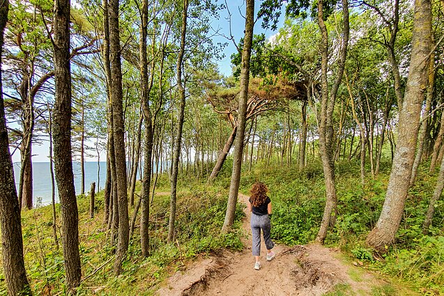 Olando Kepurė – apžvalgos platforma